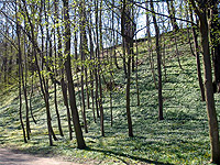Der Garzer Burgwall, im Frühling.